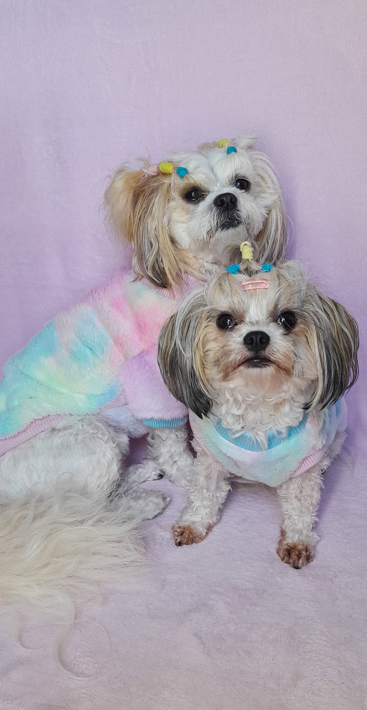 🍭Candy Floss Cutie Sweater🍭