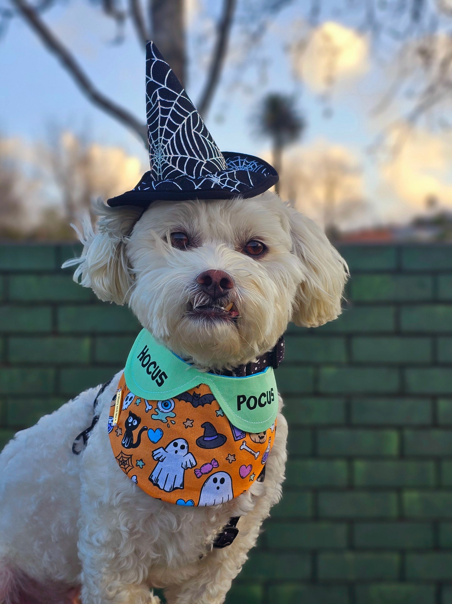 💀Mint Halloweenie Bandana💀