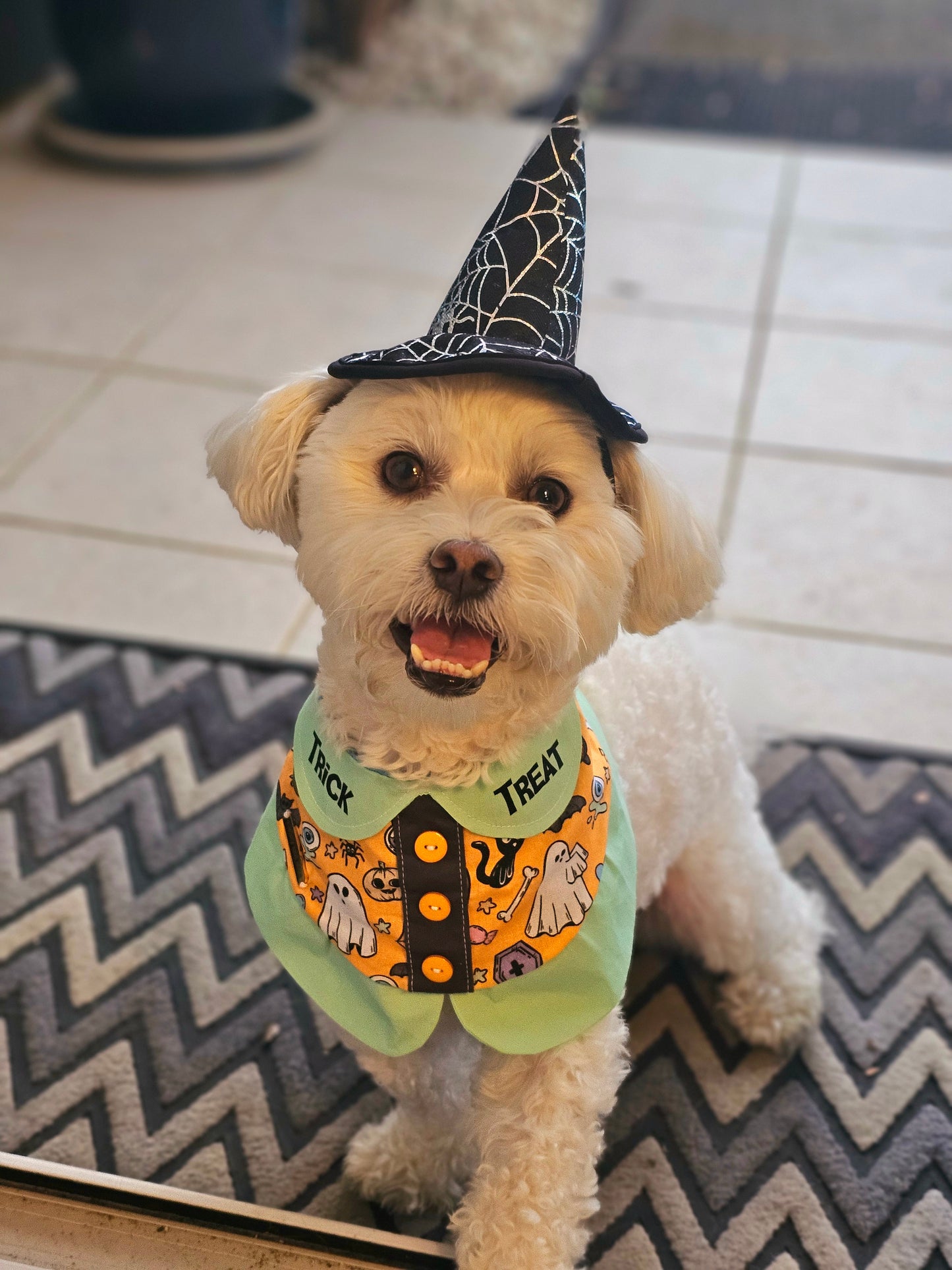 💀Mint Halloweenie Bandana💀