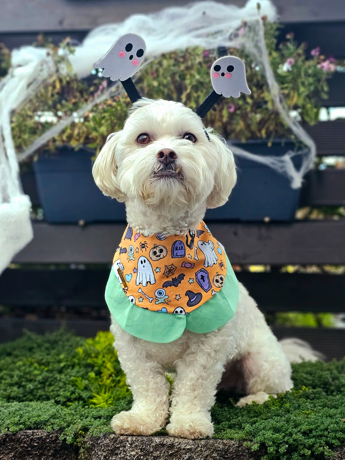 💀Mint Halloweenie Bandana💀