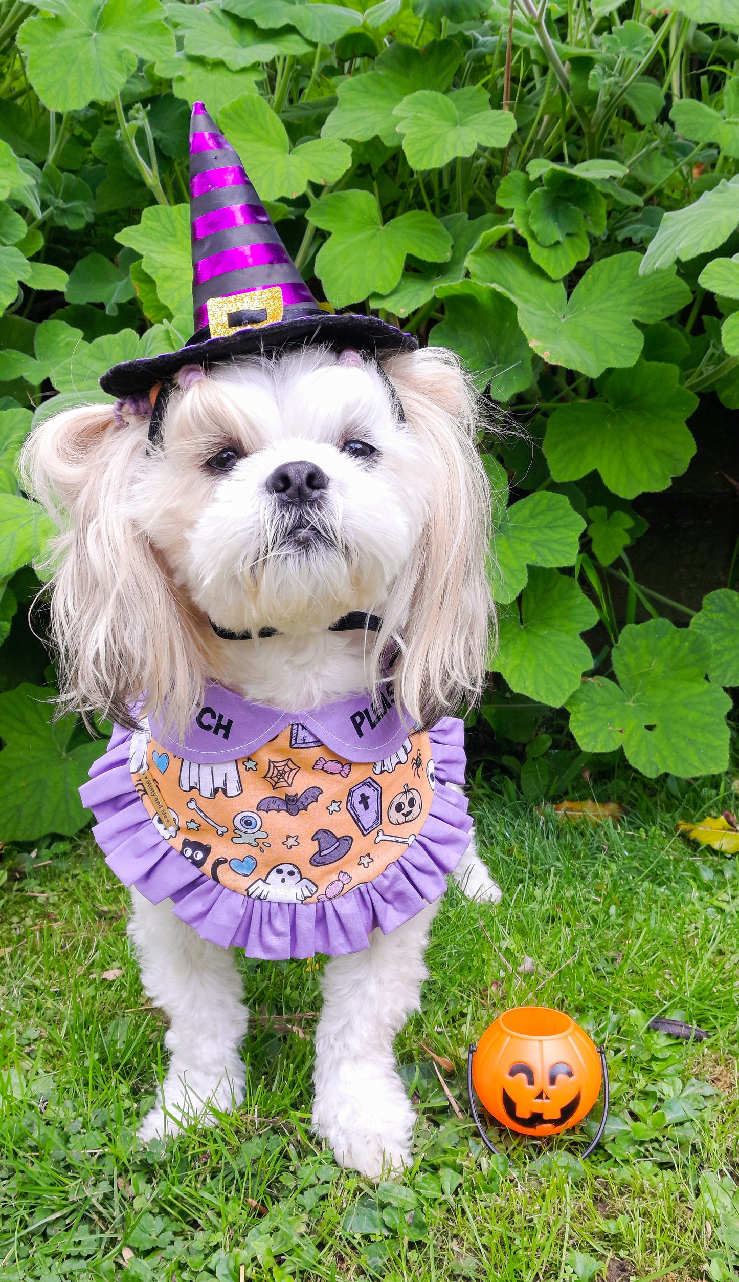 🦇Purple Halloweenie Bandana🦇