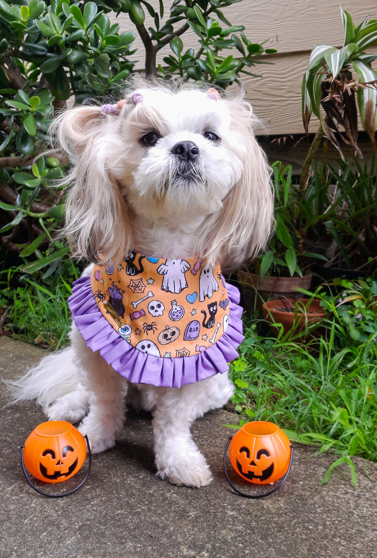 🦇Purple Halloweenie Bandana🦇