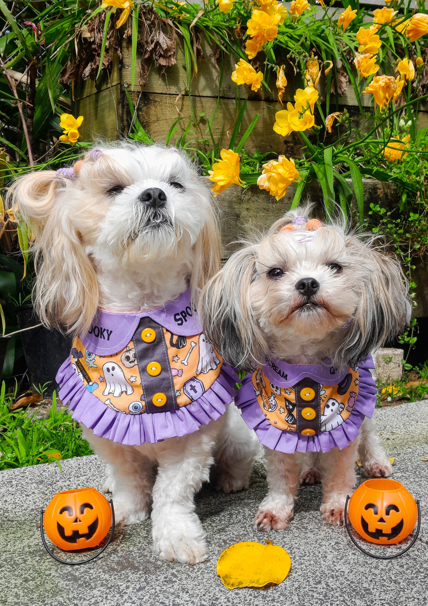 🦇Purple Halloweenie Bandana🦇